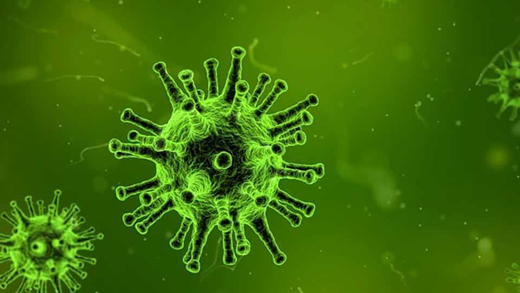 virus 8 sept 18